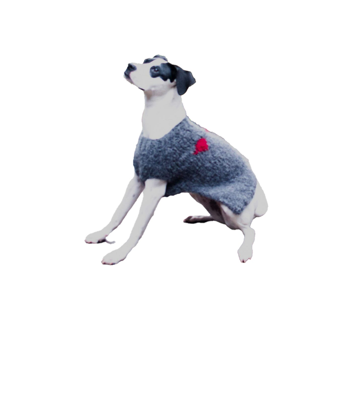 Dog Sweaters