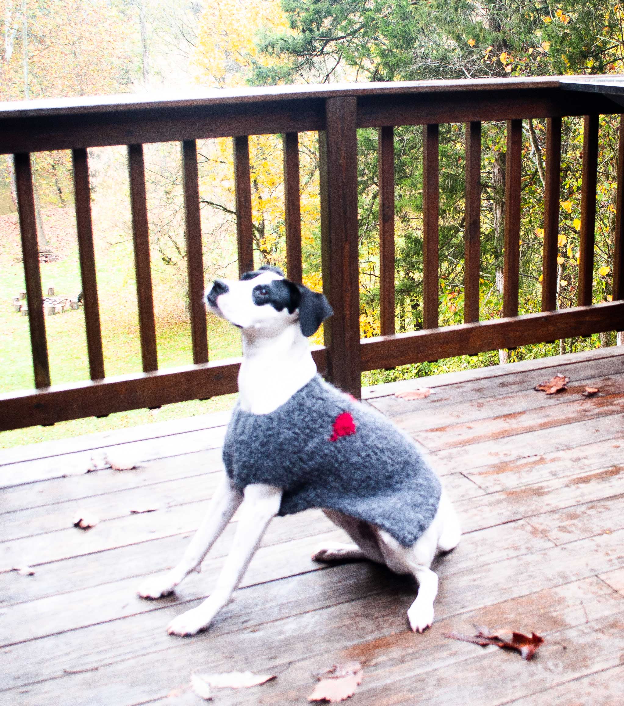 DOGS002 Diamond Alpaca Dog Sweater